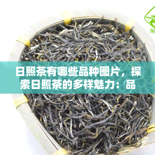 日照茶有哪些品种图片，探索日照茶的多样魅力：品种图片大揭秘！