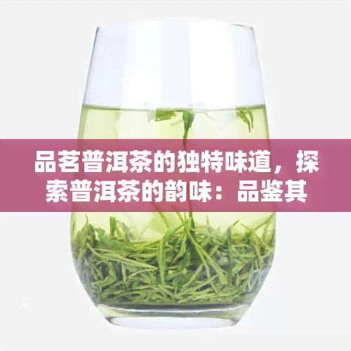 品茗普洱茶的独特味道，探索普洱茶的韵味：品鉴其独特口感与香气