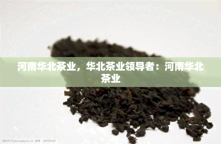 河南华北茶业，华北茶业领导者：河南华北茶业