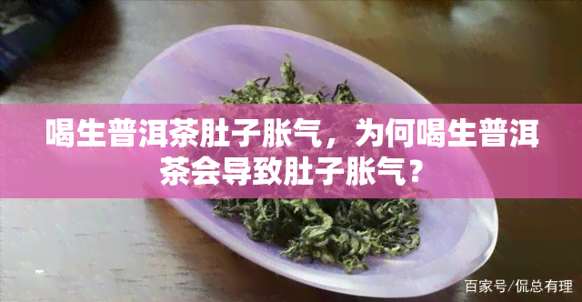 喝生普洱茶肚子胀气，为何喝生普洱茶会导致肚子胀气？