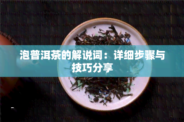 泡普洱茶的解说词：详细步骤与技巧分享