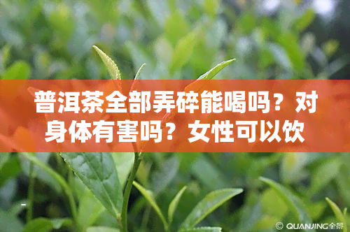 普洱茶全部弄碎能喝吗？对身体有害吗？女性可以饮用吗？