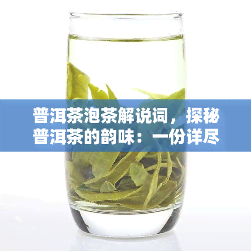 普洱茶泡茶解说词，探秘普洱茶的韵味：一份详尽的泡茶解说词