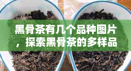 黑骨茶有几个品种图片，探索黑骨茶的多样品种：图片大全解析