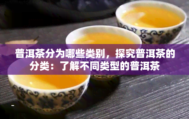 普洱茶分为哪些类别，探究普洱茶的分类：了解不同类型的普洱茶