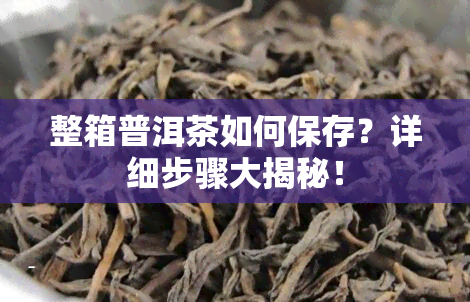 整箱普洱茶如何保存？详细步骤大揭秘！