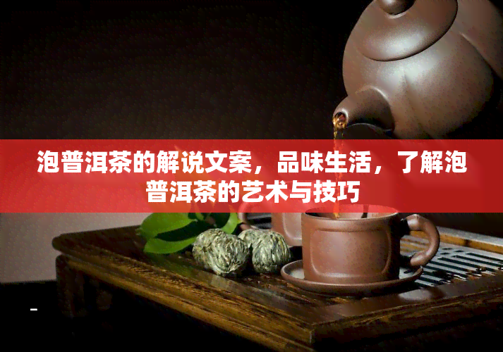 泡普洱茶的解说文案，品味生活，了解泡普洱茶的艺术与技巧