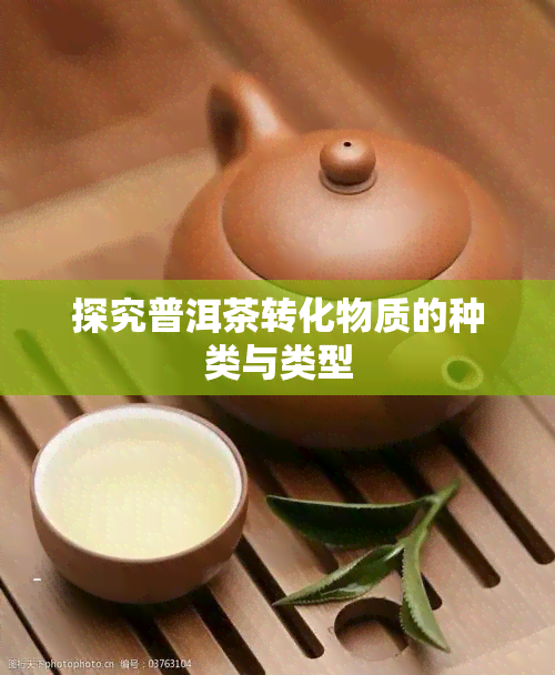 探究普洱茶转化物质的种类与类型