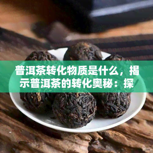 普洱茶转化物质是什么，揭示普洱茶的转化奥秘：探索其神秘物质