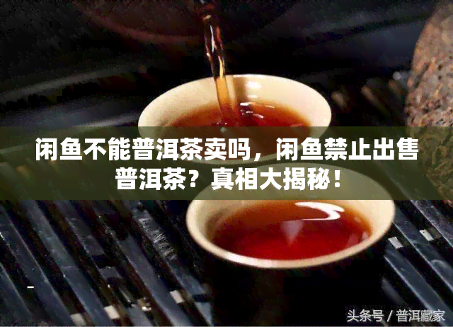 闲不能普洱茶卖吗，闲禁止出售普洱茶？真相大揭秘！