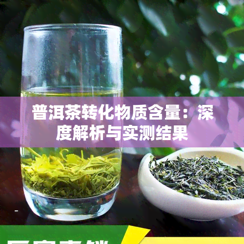 普洱茶转化物质含量：深度解析与实测结果