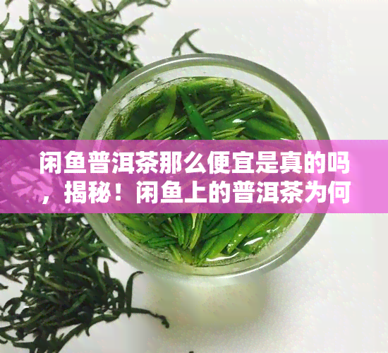 闲普洱茶那么便宜是真的吗，揭秘！闲上的普洱茶为何如此便宜？真相大公开！