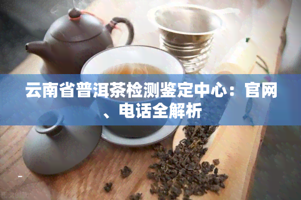 云南省普洱茶检测鉴定中心：官网、电话全解析