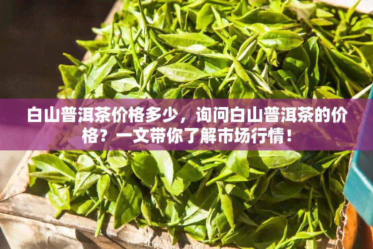 白山普洱茶价格多少，询问白山普洱茶的价格？一文带你了解市场行情！