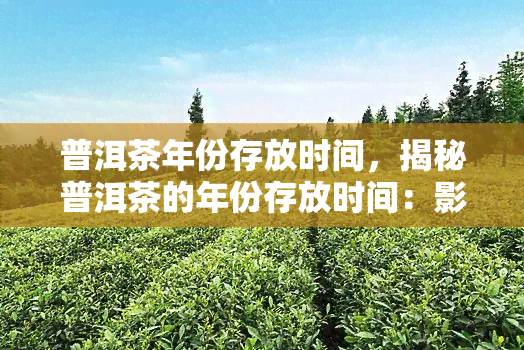 普洱茶年份存放时间，揭秘普洱茶的年份存放时间：影响口感的关键因素