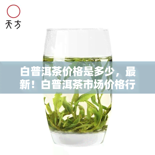 白普洱茶价格是多少，最新！白普洱茶市场价格行情解析