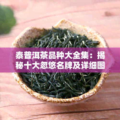 泰普洱茶品种大全集：揭秘十大忽悠名牌及详细图解