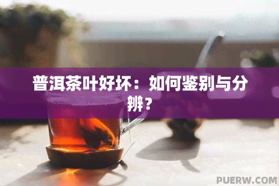 普洱茶叶好坏：如何鉴别与分辨？