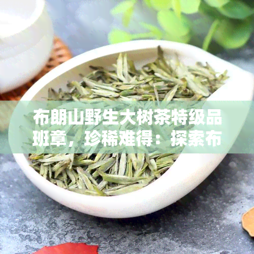 布朗山野生大树茶特级品班章，珍稀难得：探索布朗山野生大树茶特级品班章的神秘魅力