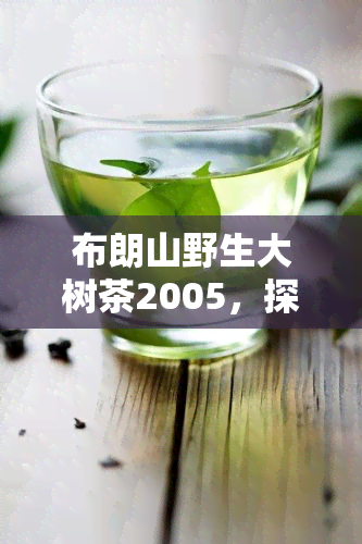 布朗山野生大树茶2005，探索古老韵味：品尝2005年的布朗山野生大树茶