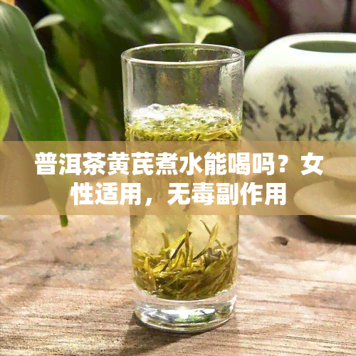 普洱茶黄芪煮水能喝吗？女性适用，无副作用