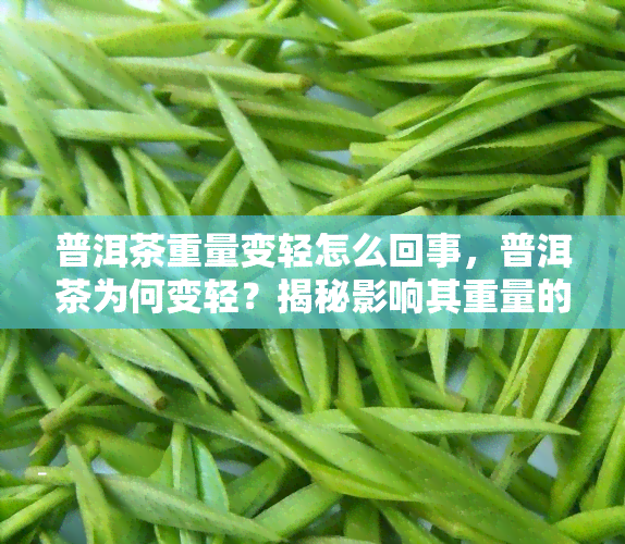 普洱茶重量变轻怎么回事，普洱茶为何变轻？揭秘影响其重量的几个因素