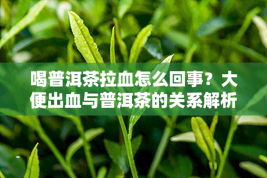 喝普洱茶拉血怎么回事？大便出血与普洱茶的关系解析