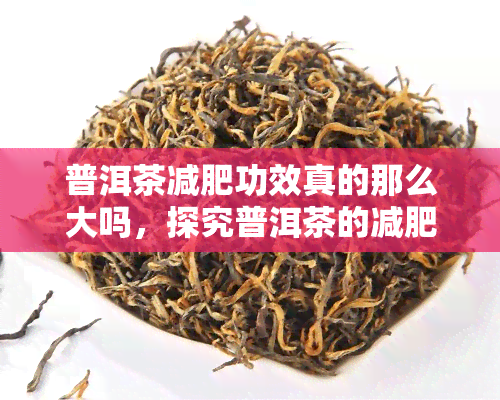 普洱茶减肥功效真的那么大吗，探究普洱茶的减肥功效：是否真的那么显著？