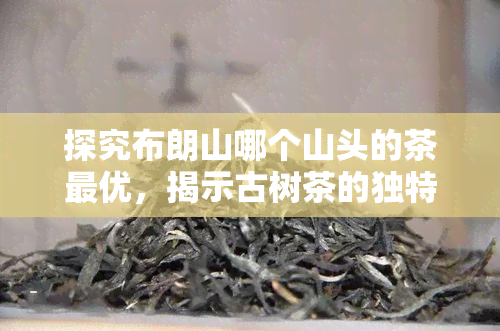 探究布朗山哪个山头的茶更优，揭示古树茶的独特特点与代表性