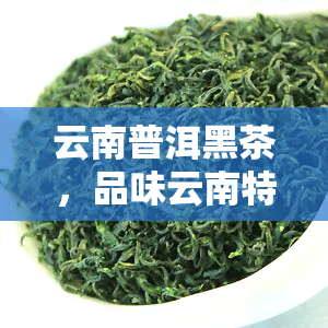 云南普洱黑茶，品味云南特色：探索普洱黑茶的魅力