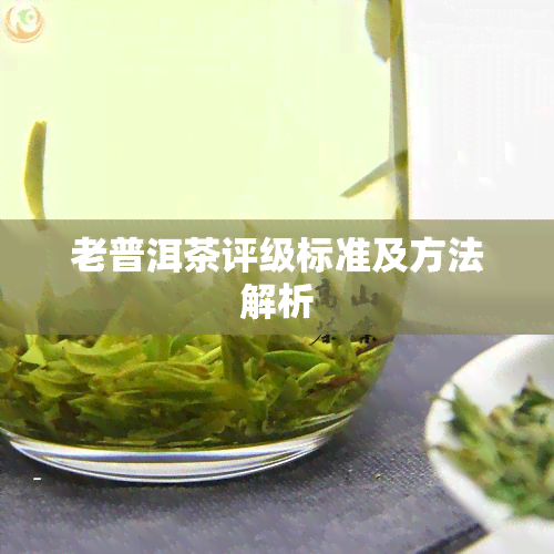 老普洱茶评级标准及方法解析