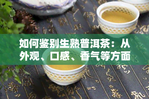 如何鉴别生熟普洱茶：从外观、口感、香气等方面全面解析