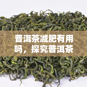 普洱茶减肥有用吗，探究普洱茶的减肥功效：真的有效吗？