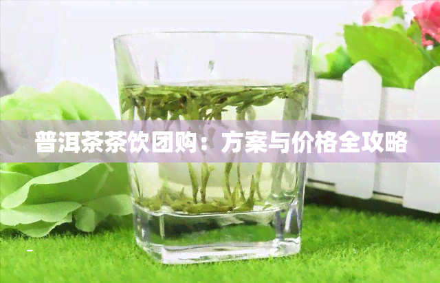 普洱茶茶饮团购：方案与价格全攻略