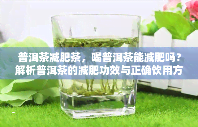 普洱茶减肥茶，喝普洱茶能减肥吗？解析普洱茶的减肥功效与正确饮用方法