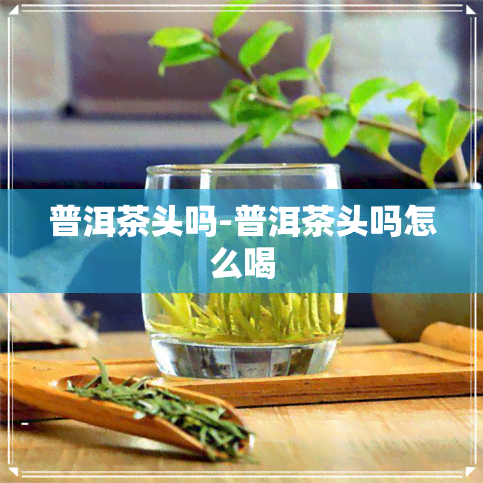 普洱茶头吗-普洱茶头吗怎么喝