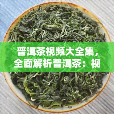 普洱茶视频大全集，全面解析普洱茶：视频大全集带你深入了解