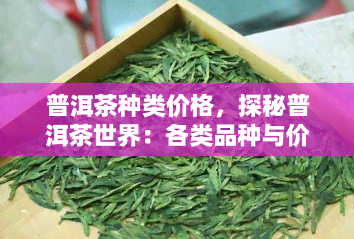 普洱茶种类价格，探秘普洱茶世界：各类品种与价格全解析