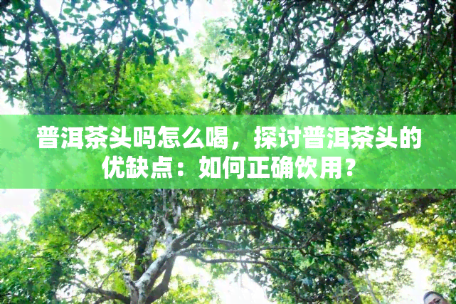 普洱茶头吗怎么喝，探讨普洱茶头的优缺点：如何正确饮用？