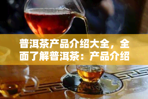 普洱茶产品介绍大全，全面了解普洱茶：产品介绍大全