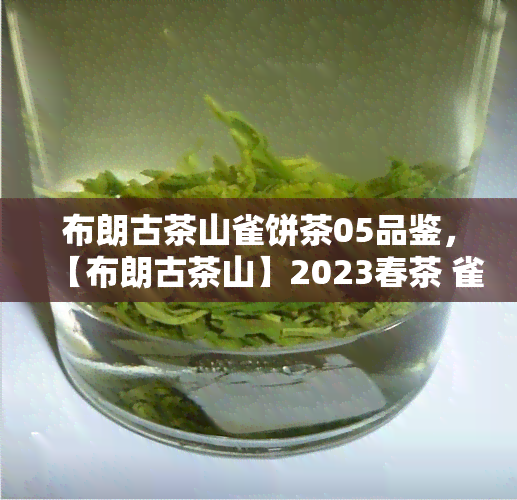 布朗古茶山雀饼茶05品鉴，【布朗古茶山】2023春茶 雀饼茶 05青柑普洱茶熟茶 醇香陈香10颗礼盒装 可批发