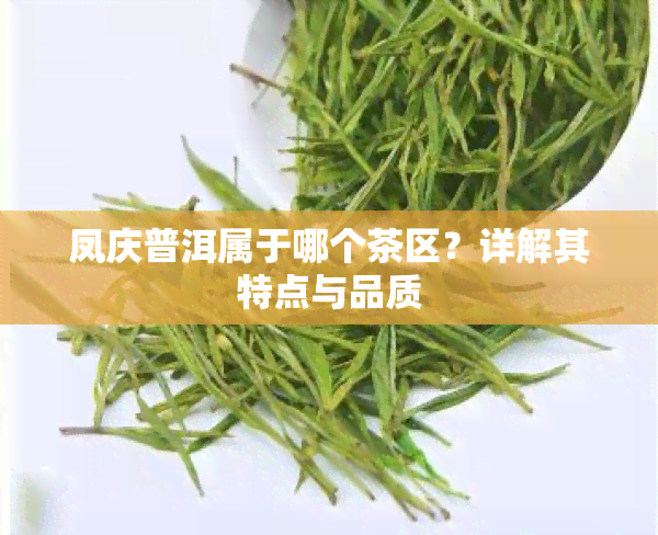 凤庆普洱属于哪个茶区？详解其特点与品质