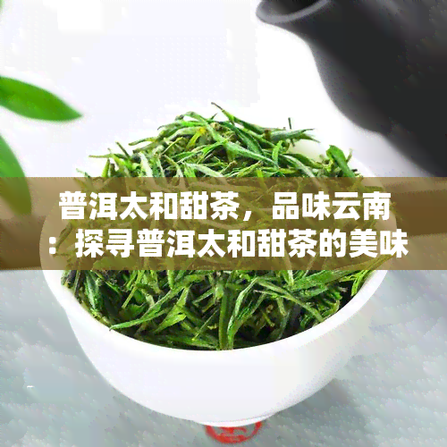 普洱太和甜茶，品味云南：探寻普洱太和甜茶的美味世界