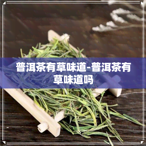 普洱茶有草味道-普洱茶有草味道吗