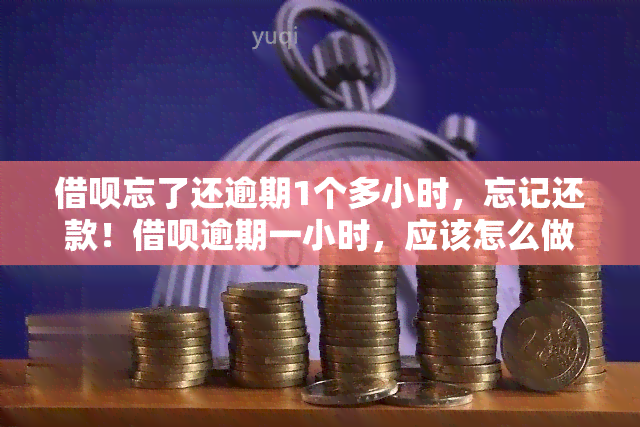 借呗忘了还逾期1个多小时，忘记还款！借呗逾期一小时，应该怎么做？