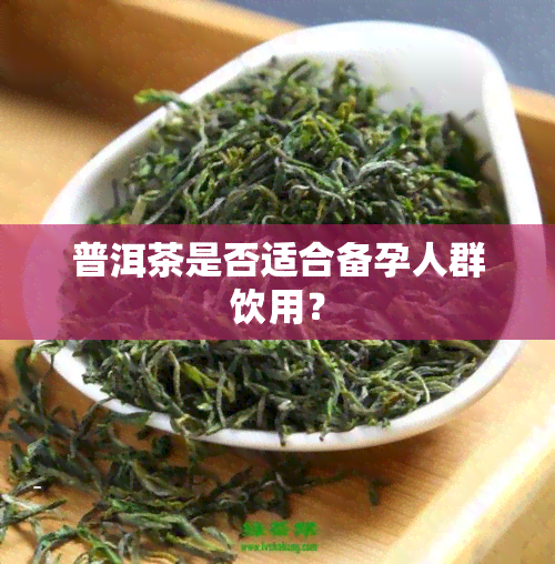 普洱茶是否适合备孕人群饮用？