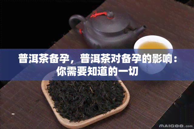 普洱茶备孕，普洱茶对备孕的影响：你需要知道的一切