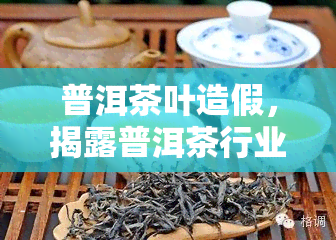 普洱茶叶造假，揭露普洱茶行业黑幕：如何识别真假普洱茶叶？