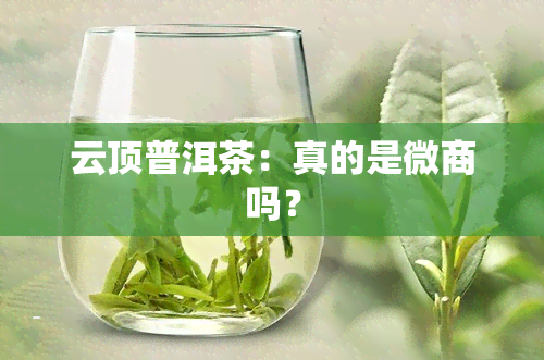 云顶普洱茶：真的是微商吗？