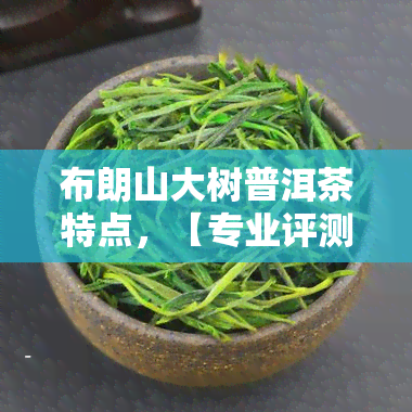 布朗山大树普洱茶特点，【专业评测】解析布朗山大树普洱茶的六大特点